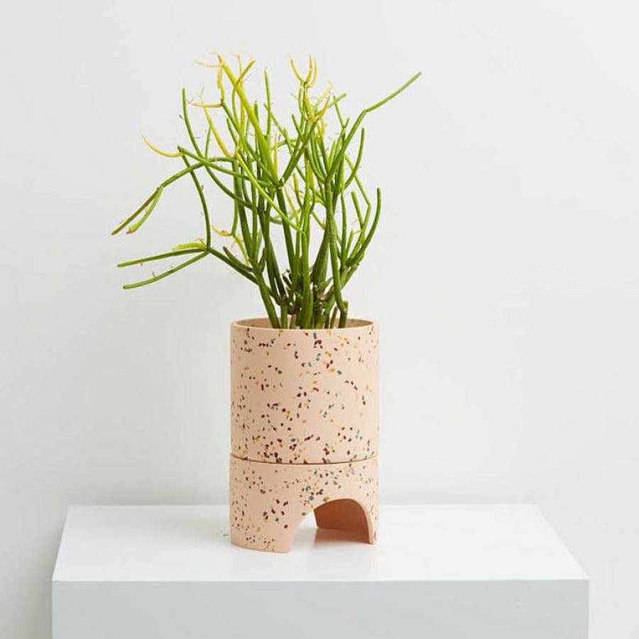 LARISSA LODEN Large Archie Terrazzo Planter In Salt By Capra Design Home & Kitchen